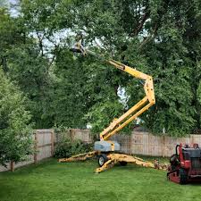 Best Lawn Pest Prevention  in Coral Hills, MD
