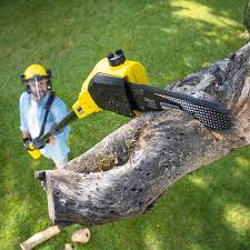 Best Seasonal Cleanup (Spring/Fall)  in Coral Hills, MD